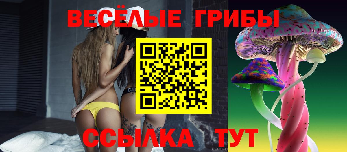 Галлюциногенные грибы Psilocybine cubensis  Вход с VPN  Псилоцибиновые грибы прущие грибы  Лиски 