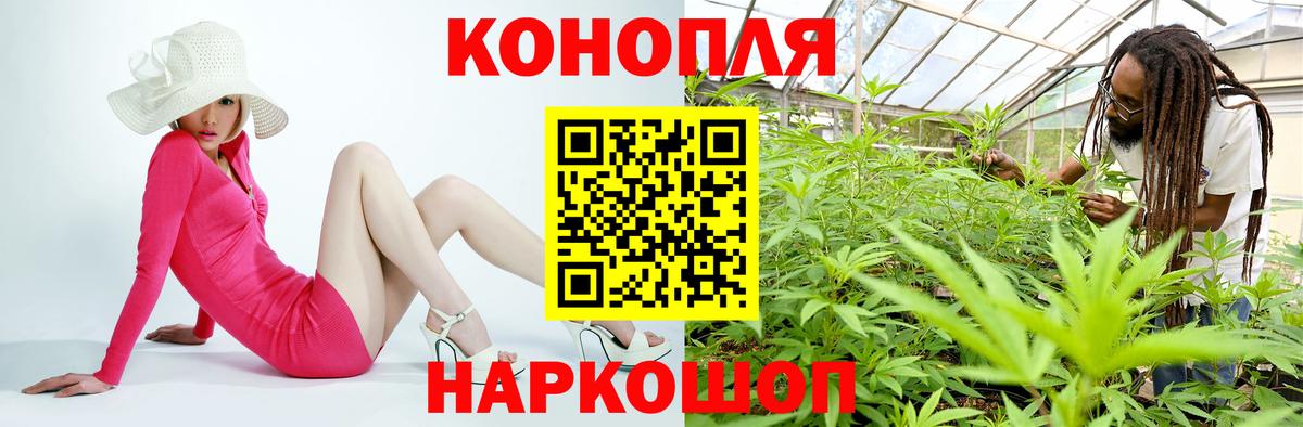 Бошки Шишки планчик Лиски